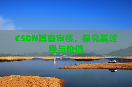 CSDN博客审核，探究其过程与价值
